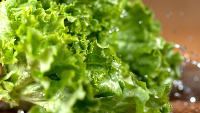 Burger with lettuce and tomato in slow motion