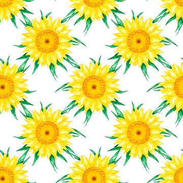 Hand drawn watercolor yellow sunflower seamless pattern isolated on white background. Can be used for Gift-wrapping, textile, fabric, wallpaper and other printed products.