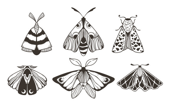Mystical celestial moth and butterfly clipart bundle, magic black and white insects silhouettes in vector, unreal hand drawn line night moth, isolated elements set