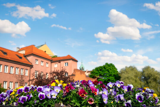 Flowers in Old Town