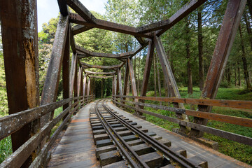 Shuishan Trail at Alishan Forest Recreation Area in Chiayi of Taiwan