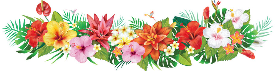 Banner from Strelitzia flowers and tropical plants - obrazy, fototapety, plakaty