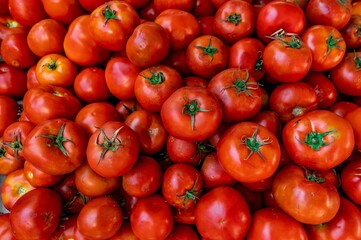 organic red tomatoes. Summer tray market agriculture farm full of organic vegetables It can be used as background