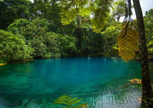 Fototapeta Matevulu blue hole, Sanma Province, Espiritu Santo, Vanuatu
