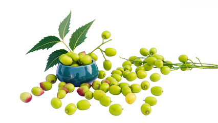 Fresh green neem fruit of Indian Lilac fruit in a bowl isolated on white along with its oil in a...