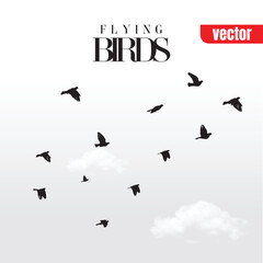 Flying flock of birds. vector, Illustration. Birds.