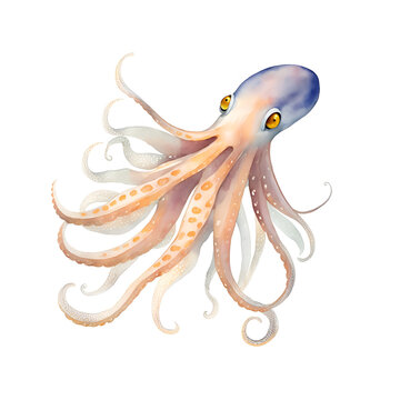 Squid  in cartoon style. Cute Little Cartoon squid  isolated on white background. Watercolor drawing, hand-drawn squid  in watercolor. For children's books, for cards, Children's illustration.