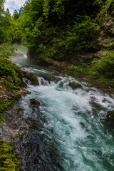 A view of the Radovna River flowing over rapids in the Vintgar Gorge in Slovenia in summertime