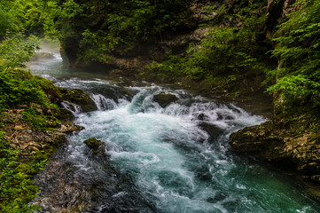 A close up  view of the Radovna River flowing over rapids in the Vintgar Gorge in Slovenia in summertime