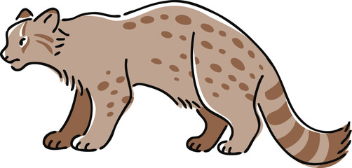 手描きのイリオモテヤマネコのイラスト