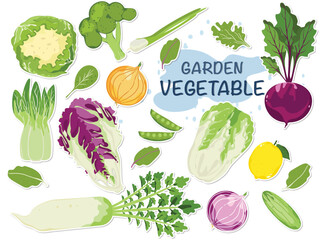 Vegetable vector icon illustration set. Vegetable illustration in cute colors for farm product design. Vegetarian shop. Market sign.