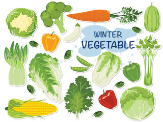 Vegetable vector icon illustration set. Vegetable illustration in cute colors for farm product design. Vegetarian shop. Market sign.