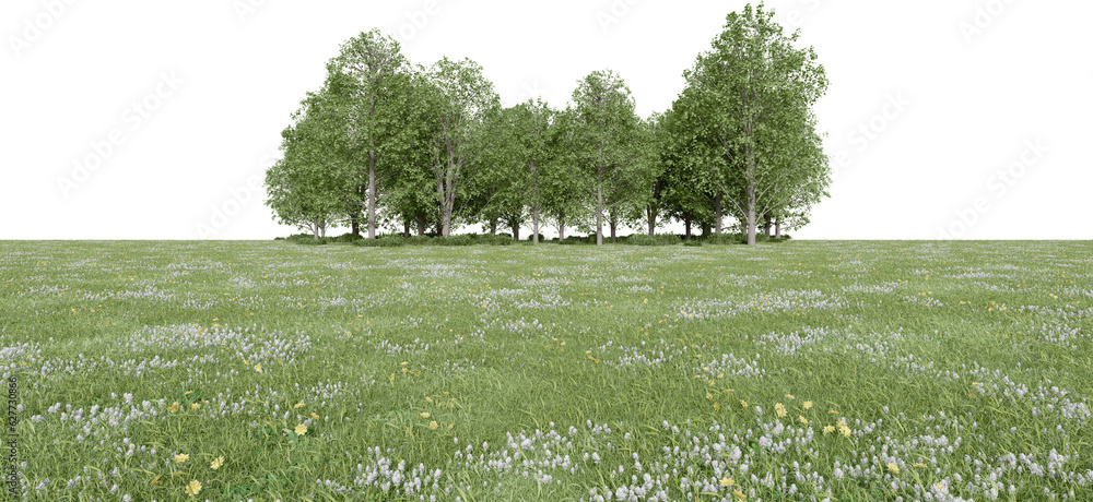 Fototapete realistic meadow and forest tree line. 3d rendering of isolated objects.