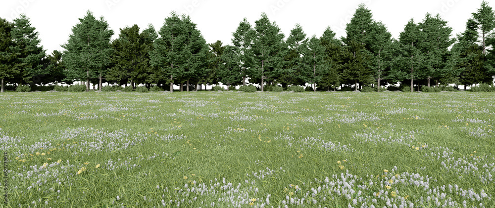 Fototapete realistic meadow and forest tree line. 3d rendering of isolated objects.