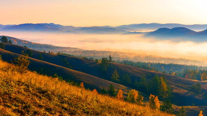 A magical morning fog spreads between the Ural Ridges in the taiga at the dawn of an autumn morning.