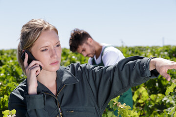 female vintner talking on mobile phone in vineyard