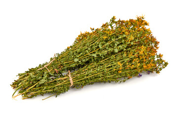 St. John's wort (Hypericum perforatum), isolated on white background.