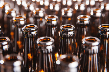 Brewery conveyor with brown glass beer drink alcohol bottles, modern production line