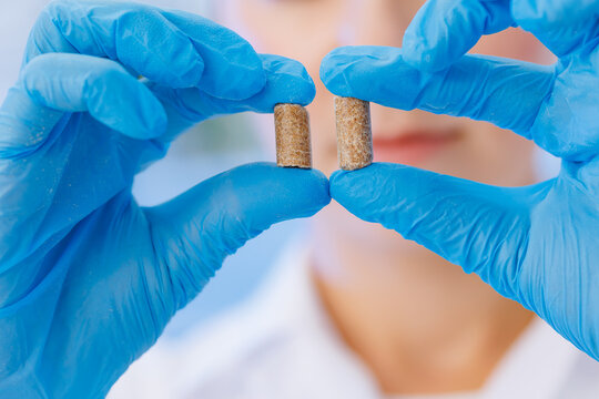 Woman Worker Control Pellet Combined Feed For Production Food For Animal In Laboratory