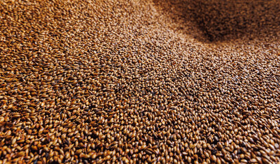 Ingredients for beer at factory. Top view caramel wheat or barley in warehouse of brewery industry