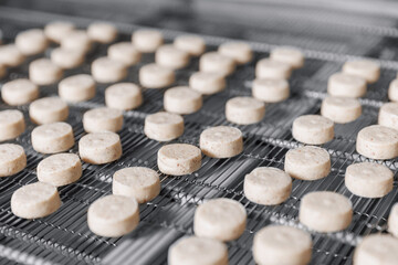 Modern chocolate production factory. Macro sweets candy move on industry conveyor