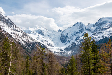 Fototapeta premium View of The Morteratsch Glacier on the Bernina range.