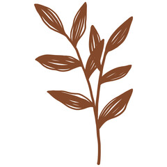 Hand drawn Abstract Botanical