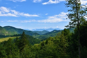 Fototapeta premium Forest covered valley and hills in Gorenjska, Slovenia with Storzic mountain