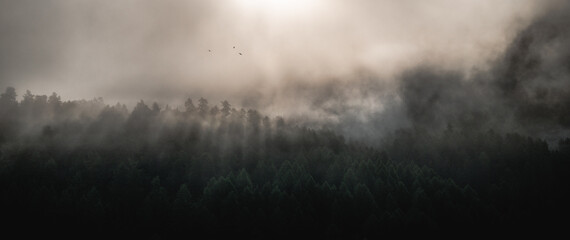 Birds and fog over the mountains