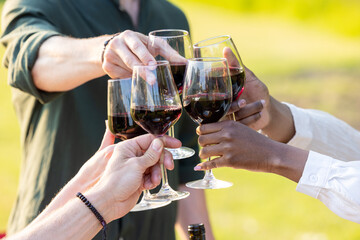 holidays, celebration and people concept, happy friends having a summer garden party dinner at home drinking non-alcoholic red wine. High quality photo