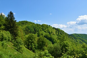 View of the top of forest covered Mrzlica hill in Štajerska, Slovenia