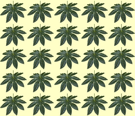 Pattern of aralia leaves on yellow background. 