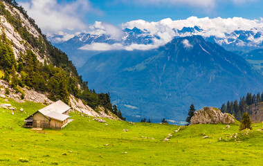 Fototapeta na wymiar Beautiful view of a mountainous landscape with a wooden alpine hut surrounded by lush meadows and a wonderful view of the alps afar and the valley below in Central Switzerland.