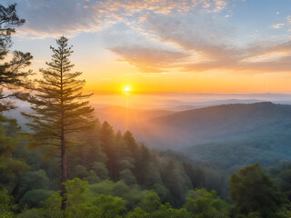 Free photo landmark forest tourism sunrise famous ancient.