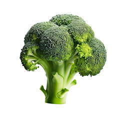 Broccoli, fruits and vegetables, transparent background, isolated, seperated, png. Ai generated