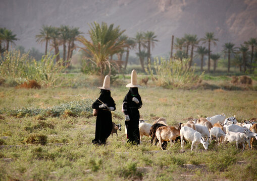 Hadramaut women with full black dresses, gloves and high hats; The high hats are supposed to bring fresh air to the head; Yemen;