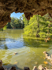 Sunny summer day in the park