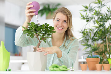 a female florist watering a bonsai tree