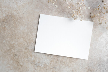 Fototapeta Blank wedding invitation card mockup with trendy botanical decor on beige background obraz