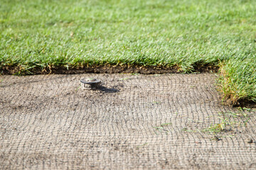 Lawn, mole net, nozzle for automatic watering.