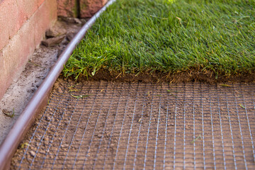 The mole repellent netting. Laying lawn and anti-mole netting.