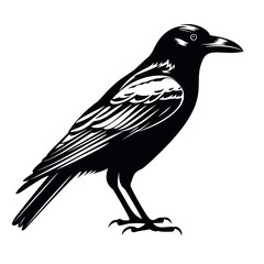 The best crow silhouette images on a white background for any design needs. Especially the design related to the crow. Like websites about crows, apps about crows. Or also a banner related with crow.
