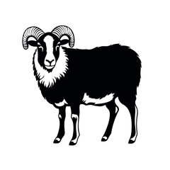 Ram icon. Farm animal. Wool production. Male sheep isolated on white background. Vector flat or cartoon illustration.