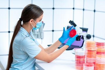 Genetic engineering experiments: Petri dishes are used in genetic engi