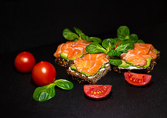 appetizer black bread sandwich green avocado melted red fish cheese with green basil leaf and red cherry tomatoes