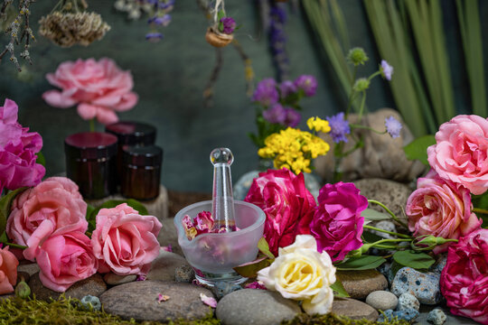 Still life of wild flowers. Cosmetic phyto products. Herbal medicine. Making an ointment. Laboratory glassware. Medicinal plants. Wildflowers. Flower cosmetics. Pharmacology. 
Láthyrus praténsis
Láthy