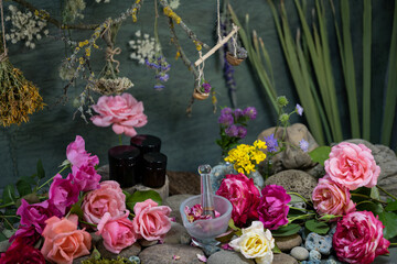 Medicinal plants. Wildflowers. Flower cosmetics. Phyto composition. Still life of wild flowers....
