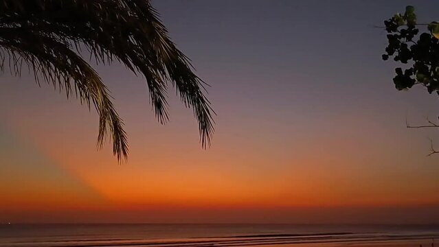 Palm leaves at sunset. Beautiful orange sunset on the background of the ocean