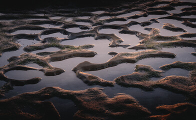 Tidepools at Sunset on La Jolla Beach California