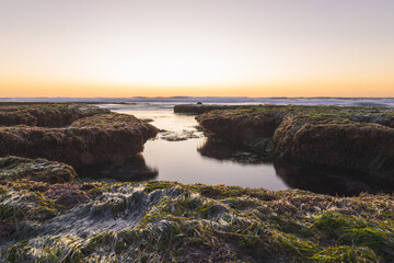 Tidepools at Sunset on La Jolla Beach California